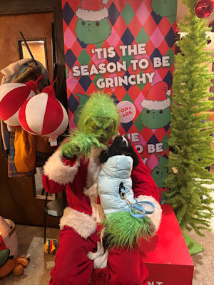 Pebbles and Grinch - 2025_12_13.jpg